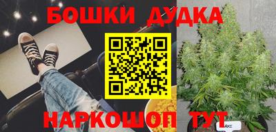 сатива Бузулук