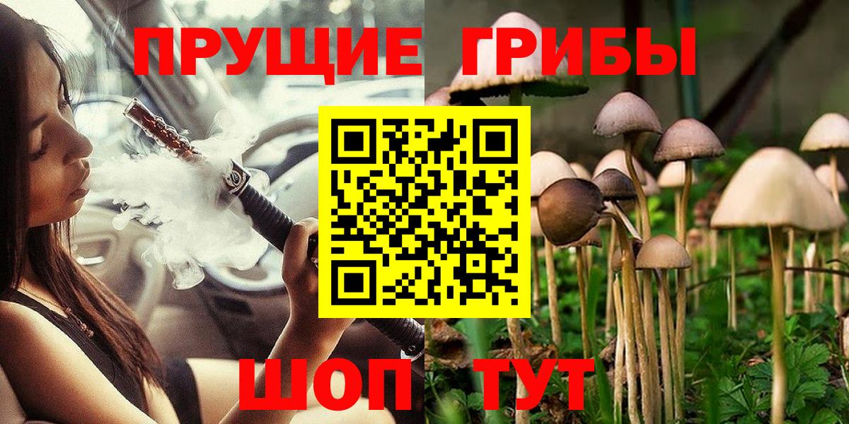 Новодвинск  Псилоцибиновые грибы ЛСД  Вход с VPN 