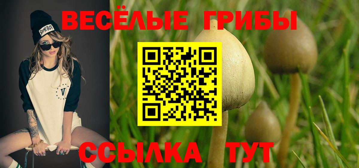 Галлюциногенные грибы ЛСД Новодвинск